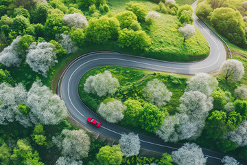 A car driving through scenic winding roads surrounded by blooming trees and greenery