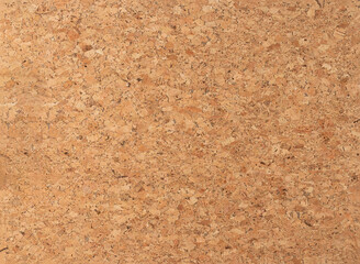Cork board texture as background with copy space.