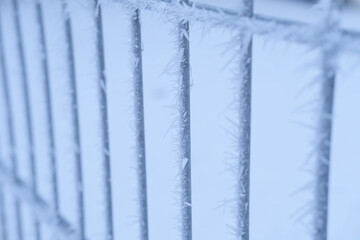 beautiful cold frost-covered fence with icy iron rods, crystal frost, frosty morning, winter weather concept, background for wallpaper