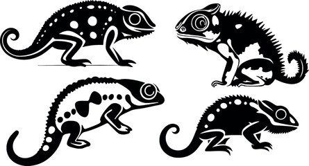 silhouette of chameleon. Lizard graphic icon. great set collection clip art Silhouette, Black vector illustration on white background.