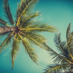 Fototapeta na wymiar Blue sky and palm trees view from below, vintage style, tropical beach, and summer background