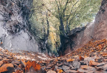 Foto op Canvas Autumn in Korzeniowy Dol Gorge - Kazimierz Dolny © sanzios