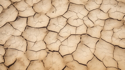 Nature’s artwork: the intricate patterns of cracked earth, telling stories of survival and change...