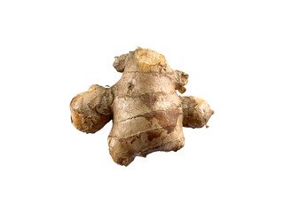 Fresh Asian ginger rhizome isolated on a white background.