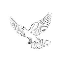 Dove of Peace Outline - Serenity Illustration