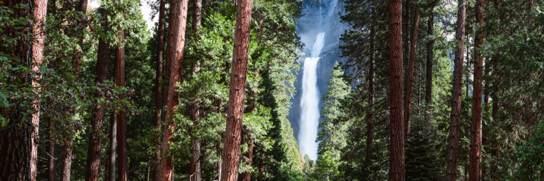 Panoramic of waterfall and pine tree forest, Yosemite National Park, California, USA