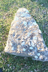stone in the garden