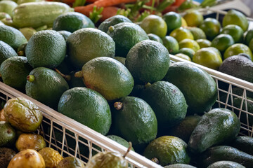 Fresh ripe green avocados, tropical fruits and vegetables on farmers market on Fuerteventura, Canary islands, Spain