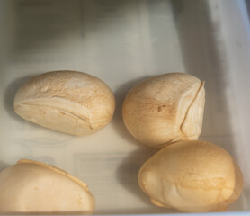 Tasty Italian food, small balls of smoked mozzarella soft cheese close up