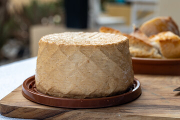 Cheese collection, piece of fresh smoked Spanish goat cheese close up