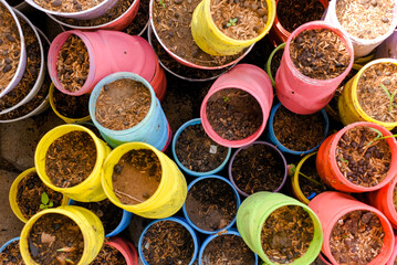 colorful flower vase