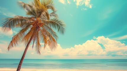 Fototapeta na wymiar Palm tree on tropical beach with blue sky and white clouds abstract background. Copy space of summer vacation and business travel concept. Vintage tone filter effect color style
