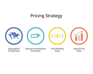 Pricing Strategy for geographical pricing, discount and allowance, price flexibility, level of price policy   