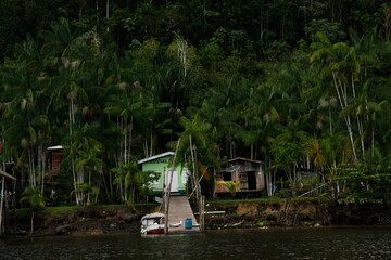 Typical houses in the Amazon Forest