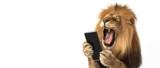 Regal Connection,  King Leo the Lion with a Smartphone Or Cell Phone.  White Background. 
