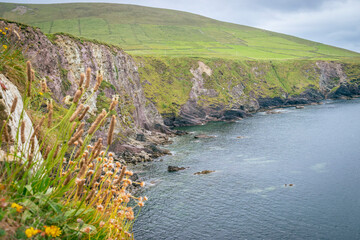 Cliffs landscape in Dingle Ireland