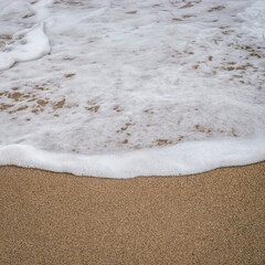 Foam on the shore