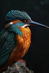Beautiful side view of Common Kingfisher on black background AI Generative