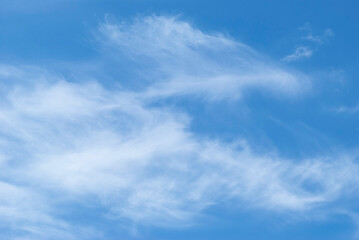 gentle clouds in the blue sky