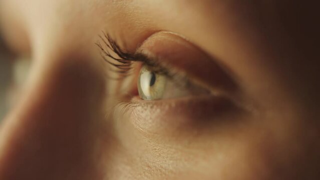 Close-up shooting of blinking eyes, young woman with painted eyelashes, black mascara. Beauty and cosmetic concept