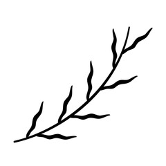 leaf of tree branches