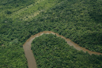 Aerial view of the Amazon Jungle