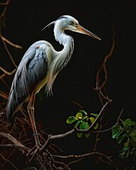 Elegance in stillness a Heron perched on a old branch AI Generative