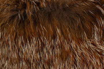 Macro close up of fox fur detail texture