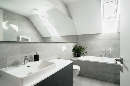 The image depicts a bright, modern bathroom with a white sink, mirror, toilet, and built-in bathtub. It features gray tiles, a skylight, and a green plant.