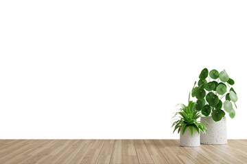 Wall transparent mockup with plants on a floor,Minimalist empty room with wooden floor.3d rendering - 718432997