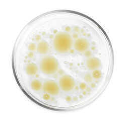 Petri dish with color liquid sample isolated on white, top view