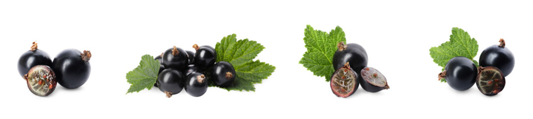 Ripe black currants and green leaves isolated on white, set