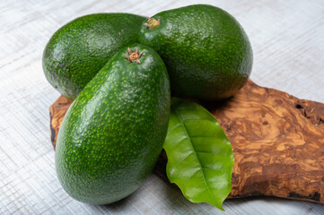 Green ripe avocado fruits from organic avocado plantation - healthy food