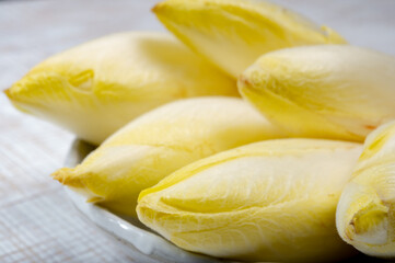 Fresh organic chicory endive salad ready to eat, traditional food in Belgium and the Netherlands