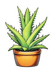 Illustration of aloe vera plant in pot on transparent background 