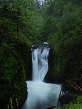 Waterfall in the Forest
