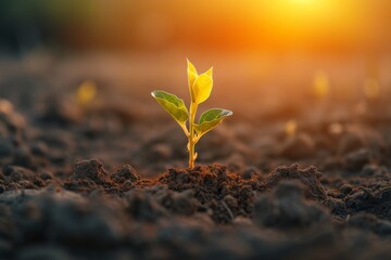 hopeful seedling emerges from soil, radiates growth energy, Generative AI