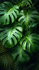 Palm leaves wallpaper, background 