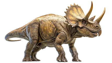 Fotobehang トリケラトプスのイメージ - image of Triceratops - No6-4 Generative AI © Orange Eyes