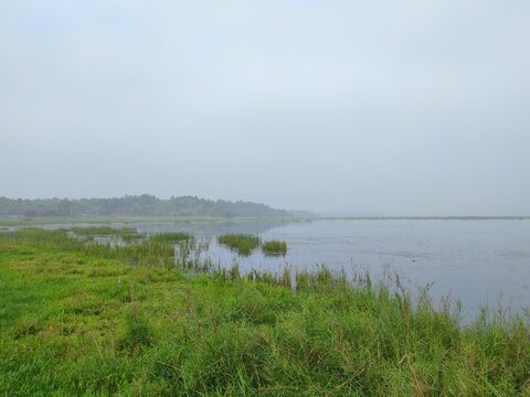 Sareswar beel is a shallow freshwater lake with abundant aquatic vegetation spread across the floodplains on the northern bank of Brahmaputra River in Lower Assam borders the Rupshi and Bamunijoia.