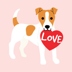 Jack Russel Terrier holds heart shape card in the mouth cartoon illustration