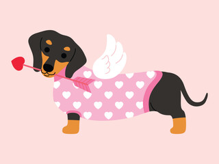 Dachshund in pink sweater with wings costume holds arrow in the mouth cartoon illustration