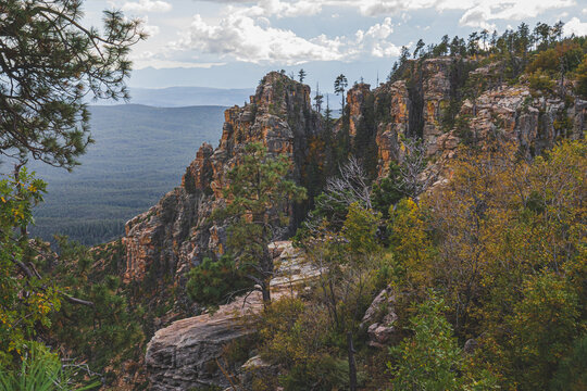 Mogollan Rim Majesty