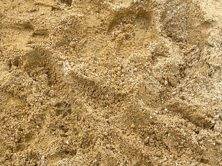 Fototapeta na wymiar background from sandy beach