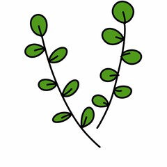 cartoon doodle plant, illustration