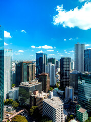 Fototapeta na wymiar Skyscrapers towering above the cityscape of Shinjuku, Tokyo, Japan