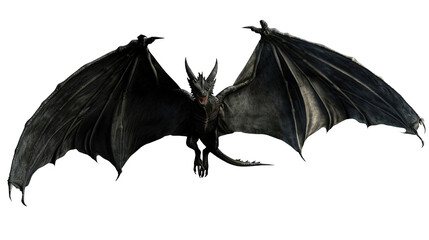 Black Dragon isolated