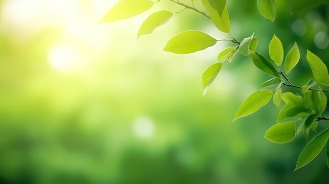 Green leaves in photo with a blurred background. generative AI