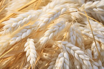 golden wheat field. generative AI