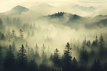 Foto auf Acrylglas Wald im Nebel Misty landscape of forest 
